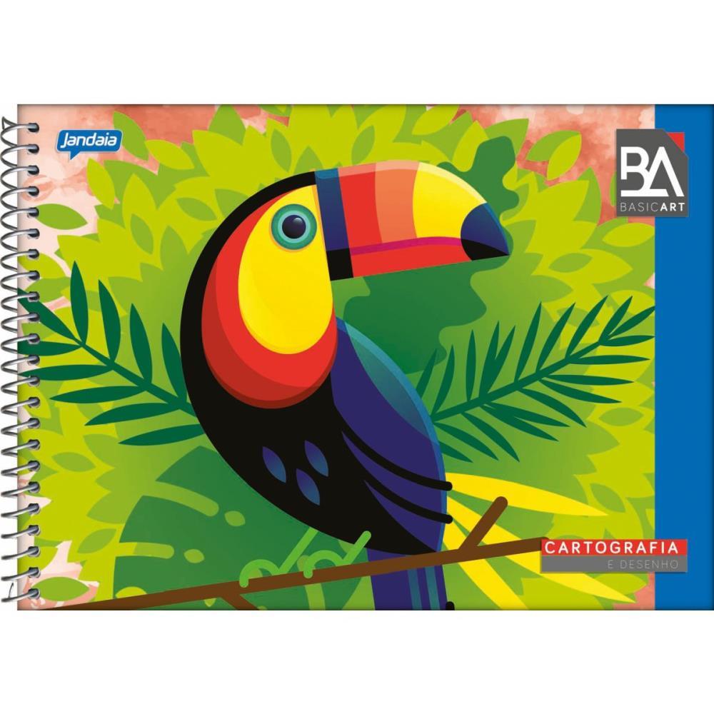 CADERNO DESENHO UNIVERSITARIO BASIC ART 48FLS. ESP. HORIZ. JANDAIA PCT.C/10