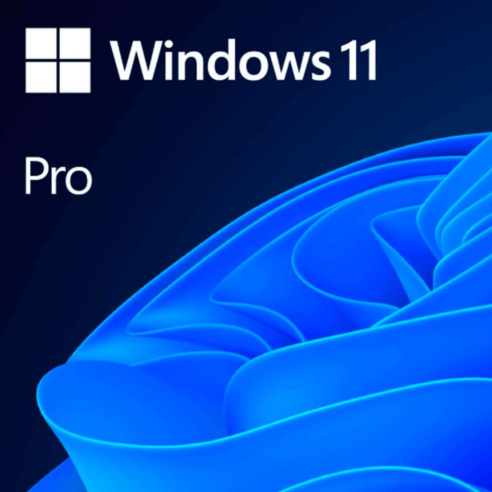 LICENÇA COEM WIN 11 PRO - 64BIT/BRAZILIAN/1PK DSP OEI DVD