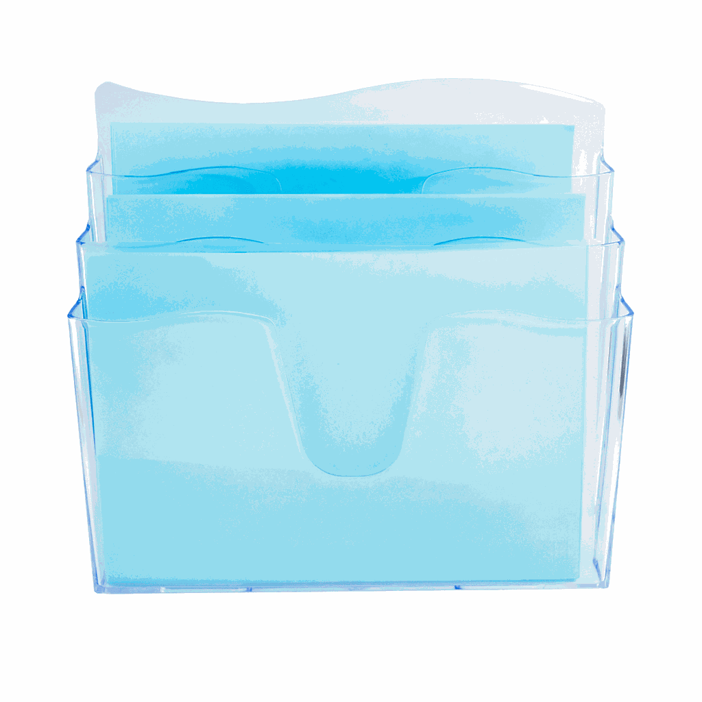 ORGANIZADOR P/DOCUMENTO TRIPLO DELLOCOLOR CRISTAL 3055.H